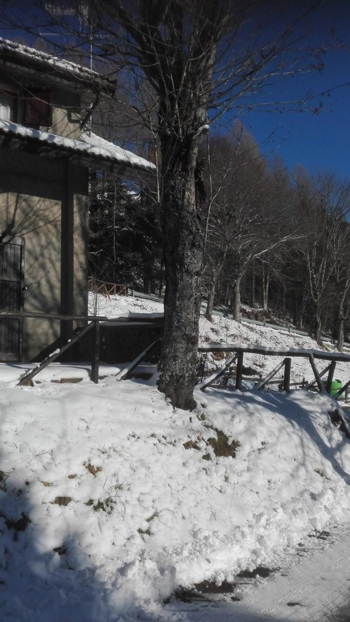 B&B Bucaneve Abetone Exterior photo